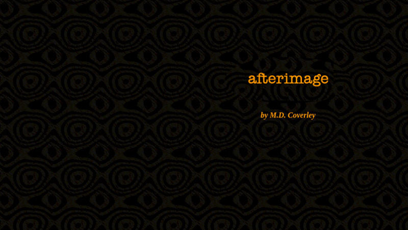 gallery image of Afterimage