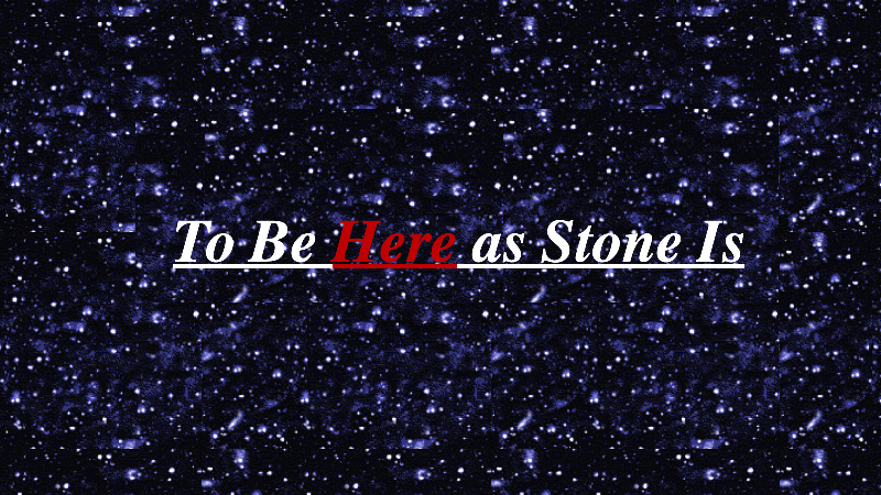 gallery image of To Be Here as Stone Is