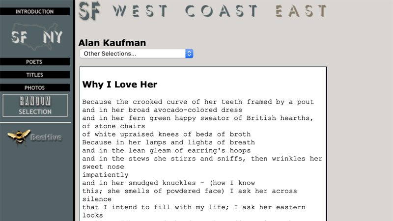 gallery image of NY/SF Poetry Collection: Why I Love Her