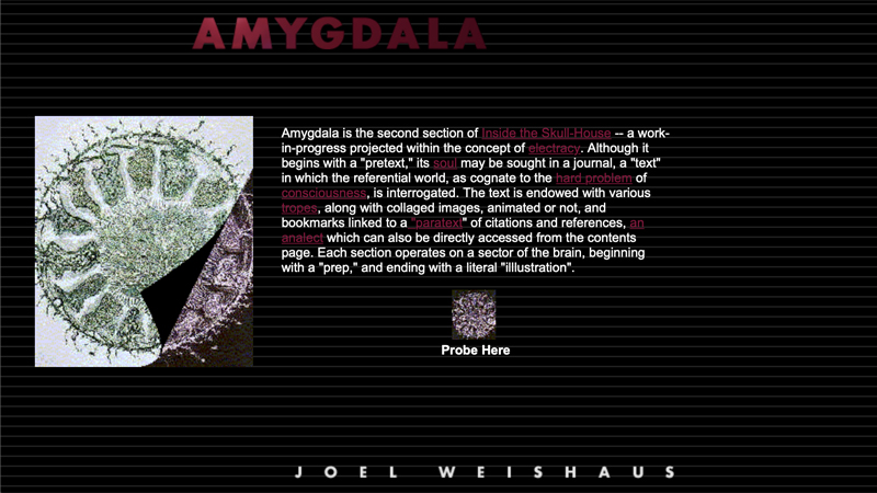 gallery image of Amygdala