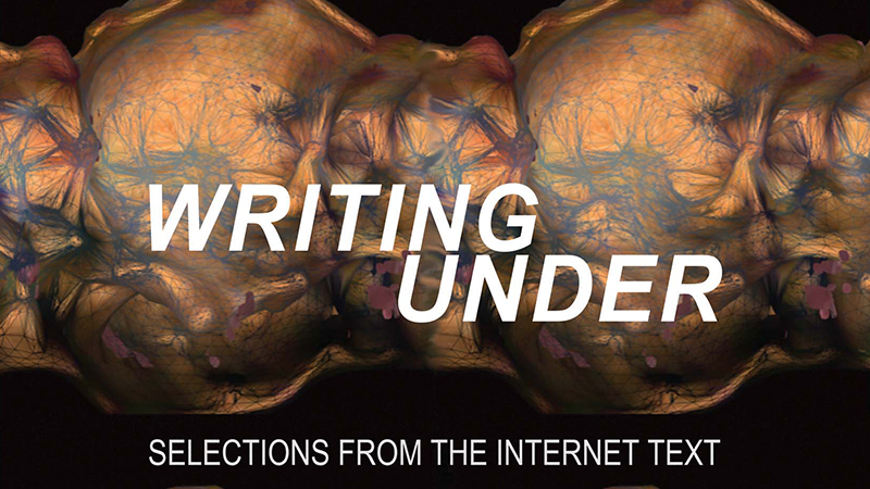 gallery image of Computing Literature Vol. 2: Writing Under: Selections from the Internet Text