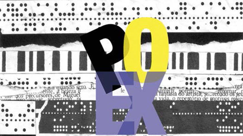 gallery image of Computing Literature Vol. 4: PO.EX: Essays from Portugal on Cyberliterature and Intermedia