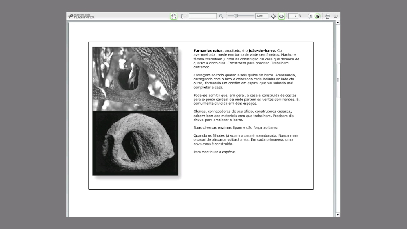 gallery image of ninhos & magia / nests & magic