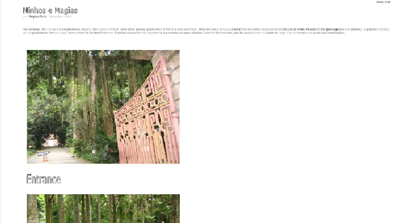 gallery image of ninhos & magia / nests & magic