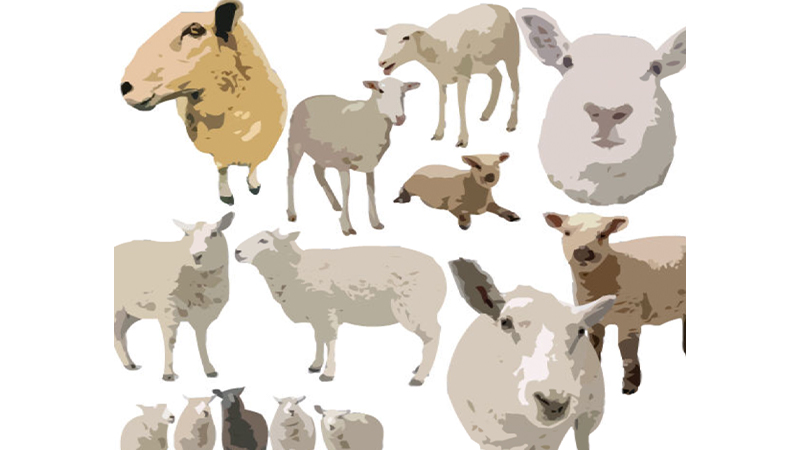 gallery image of Sheep's Parade - Lisa Hutton's Collection