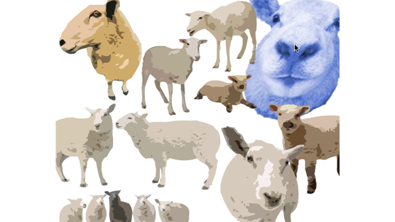 gallery image of Sheep's Parade - Lisa Hutton's Collection