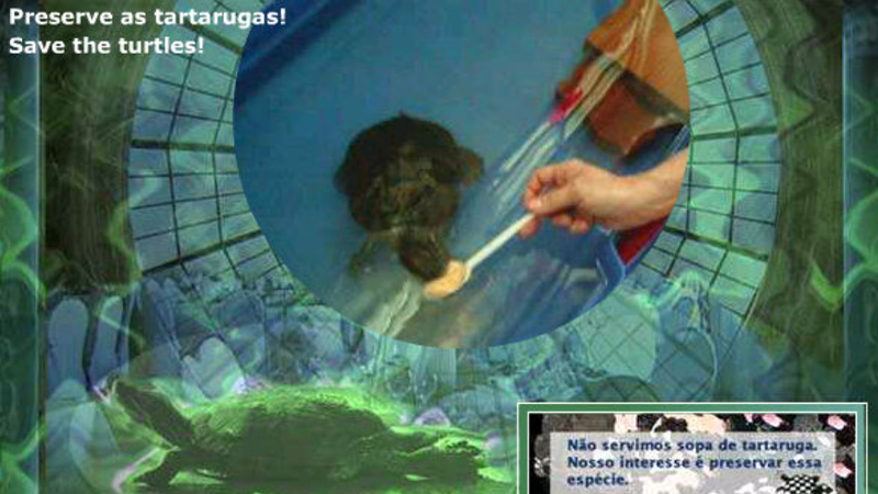 gallery image of Não servimos sopa de tartaruga! We do not serve turtle soup!