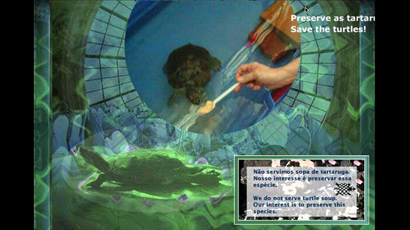 gallery image of Não servimos sopa de tartaruga! We do not serve turtle soup!