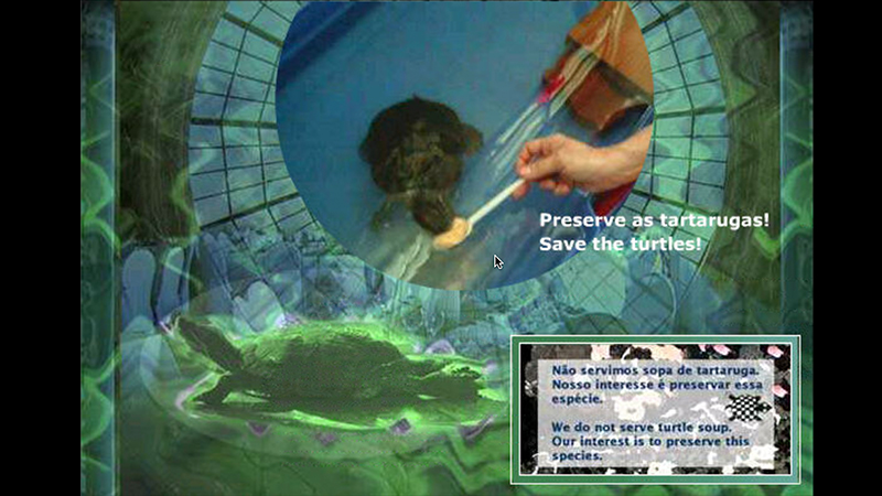 gallery image of Não servimos sopa de tartaruga! We do not serve turtle soup!