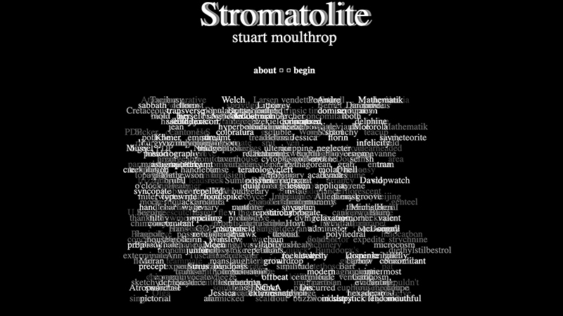 gallery image of Stromatolite