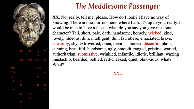 gallery image of The Meddlesome Passenger