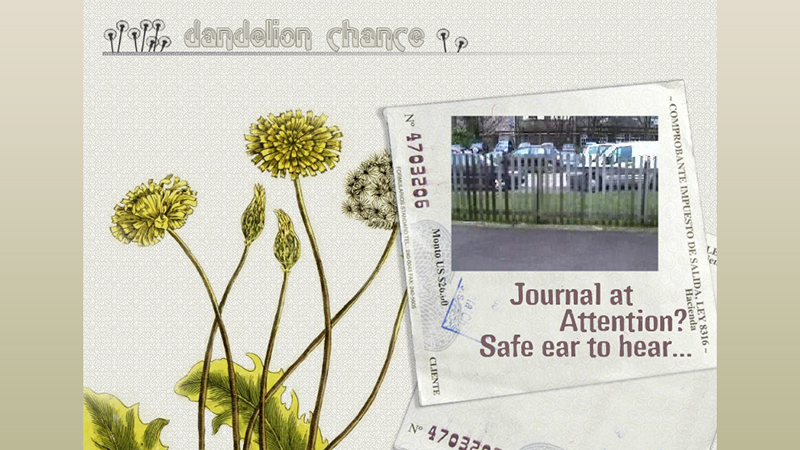 gallery image of Dandelion Chance