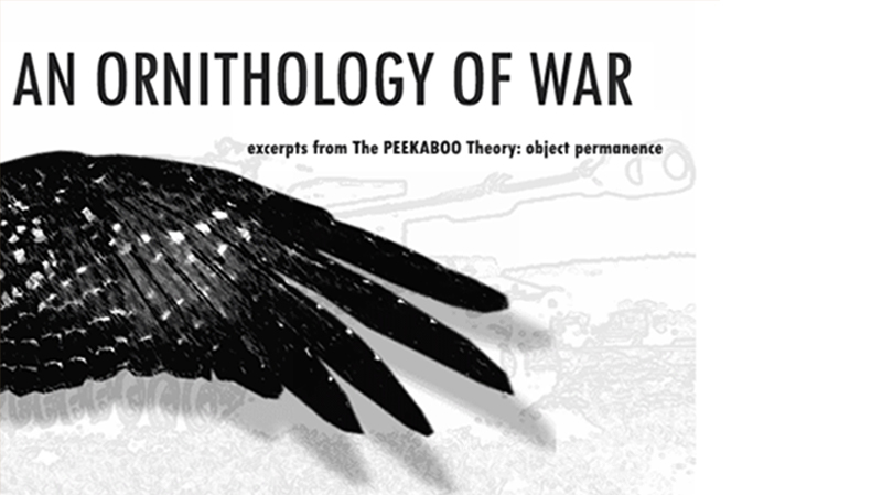 gallery image of An Ornithology of War