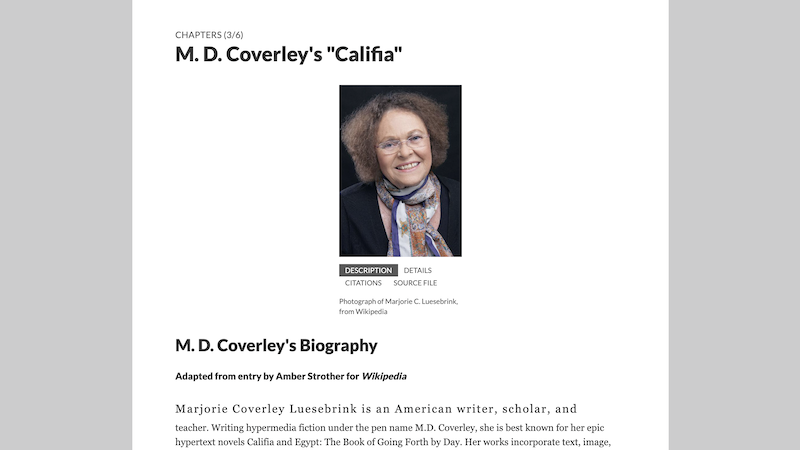 gallery image of Rebooting Electronic Literature, Volume 3 Chapter 3: M.D. Coverley's 