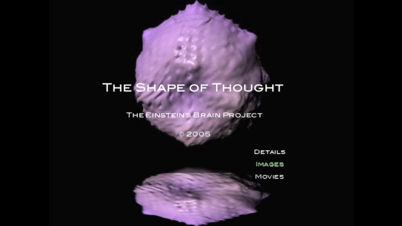 gallery image of The Shape of Thought