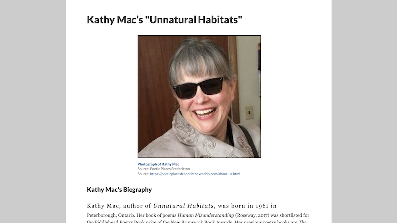 gallery image of Rebooting Electronic Literature, Volume 4 Chapter 9: Kathy Mac's 