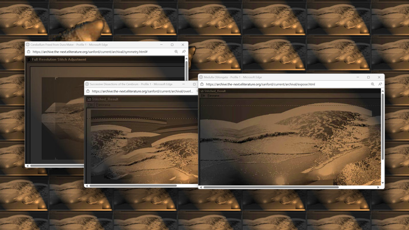 gallery image of Anatomy of a Panorama Program