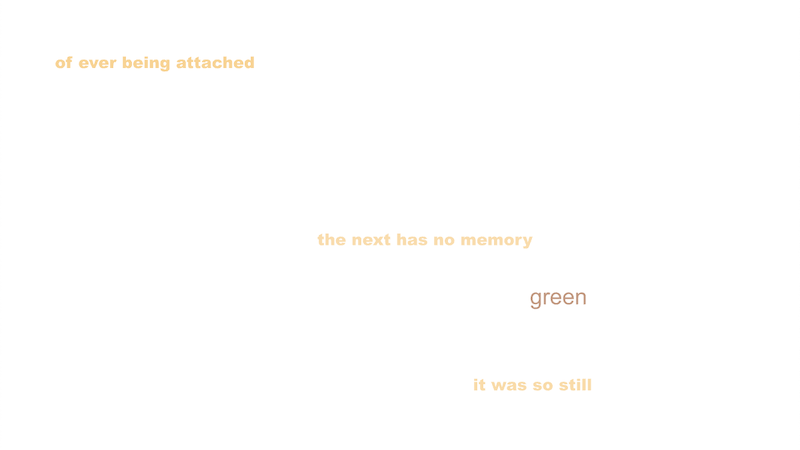 gallery image of Xylo