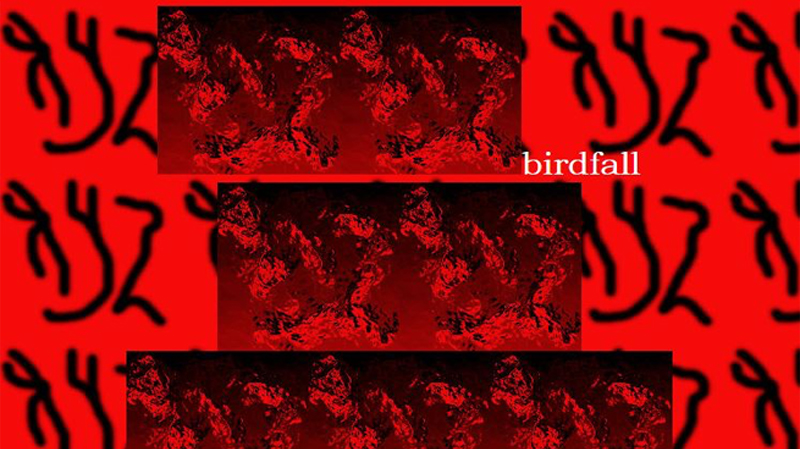 gallery image of Birdfall