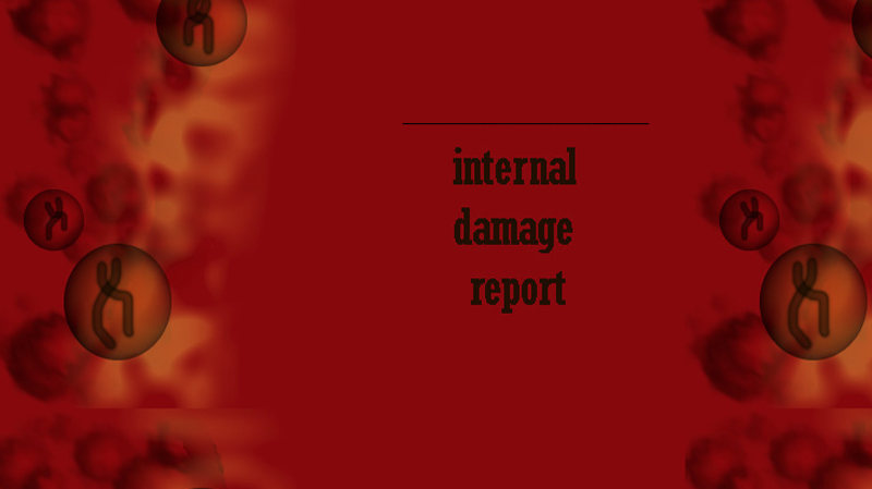 gallery image of Internal Damage Report