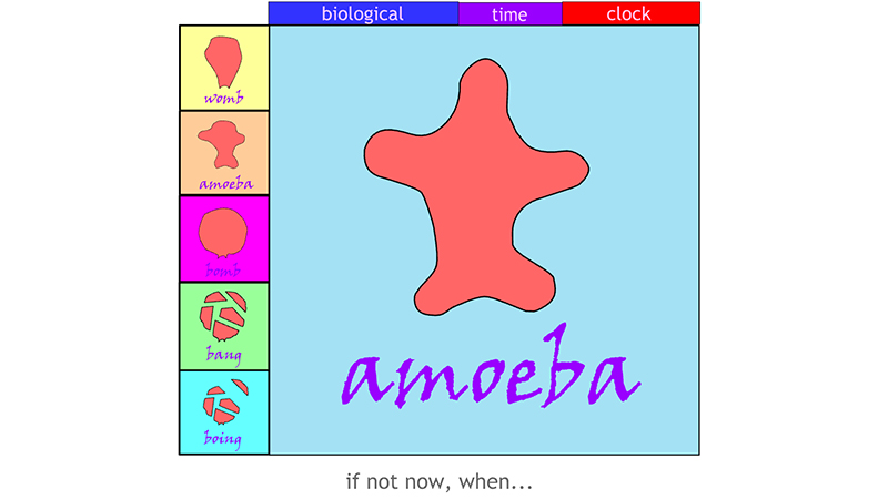 gallery image of Amoeba