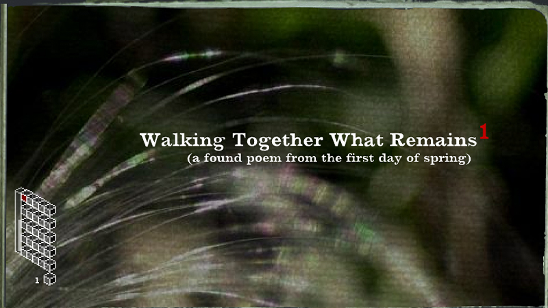 gallery image of Walking Together What Remains