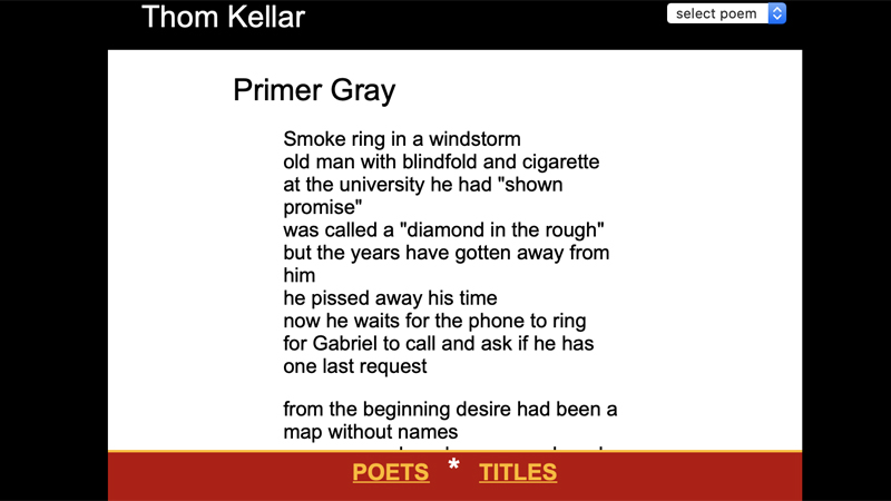 gallery image of Primer Gray