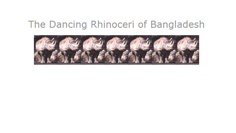 gallery image of The Dancing Rhinoceri of Bangladesh