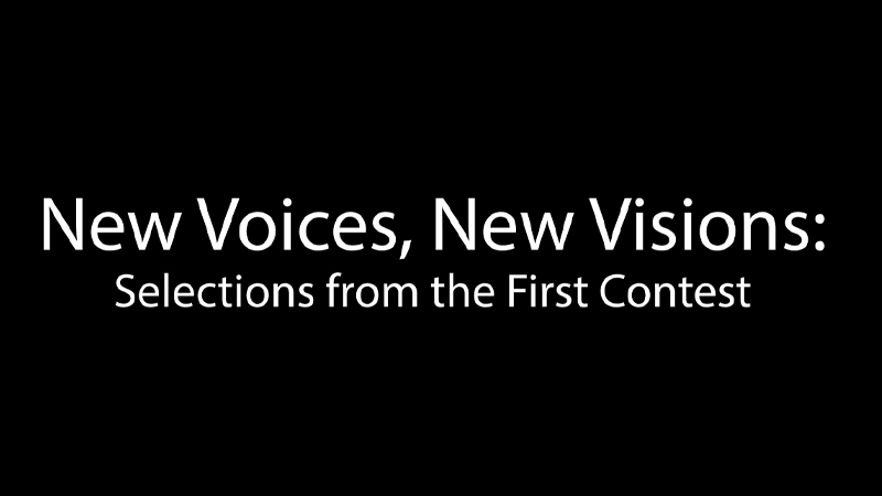 gallery image of New Voices New Visions: A Selection of the Winners from the First Competition
