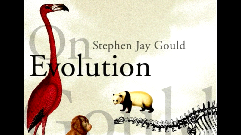 gallery image of First Person: Stephen Jay Gould, On Evolution