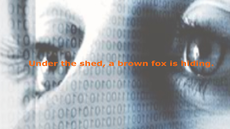 gallery image of The Quick Brown Fox